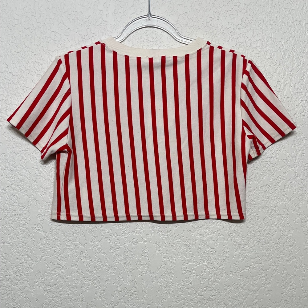 Zara Women’s Red & White Striped Skirt Set (Top-Medium/Skirt-Large) - Picture 9 of 16